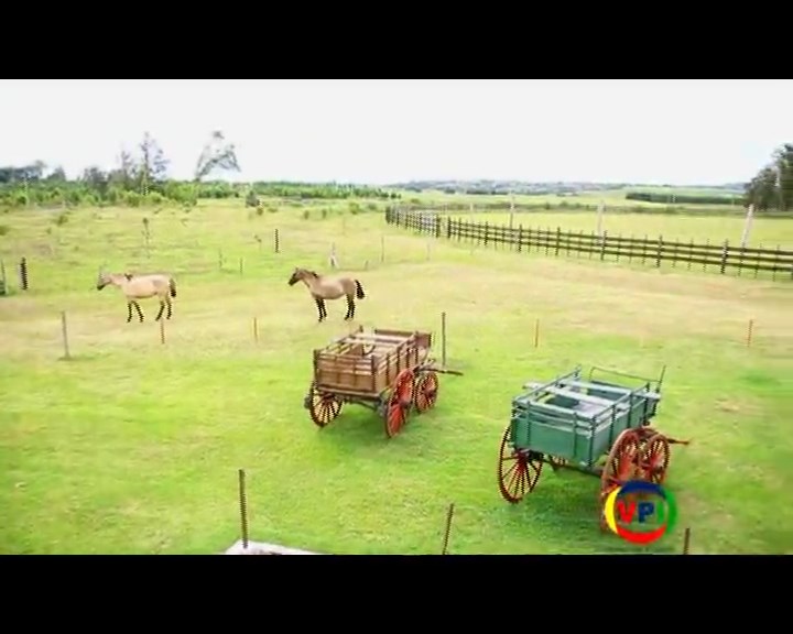 Programa 22 - 12/02/2015